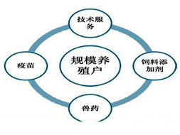 瑞普行業(yè)動(dòng)態(tài)與企業(yè)管理趨勢(shì)分析